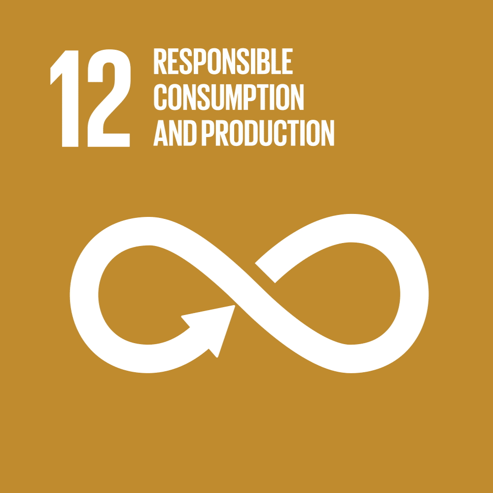 SDGs目標12. 必要なものを大事に廃棄物も再利用し面白いものを創造しよう